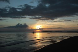 IMG_1888 (FILEminimizer)