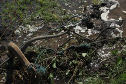 IMG_1970 (FILEminimizer)