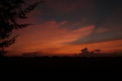 IMG_1977 (FILEminimizer)