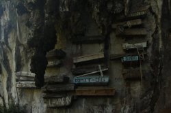 IMG_1996 (FILEminimizer)