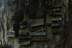 IMG_1996 (FILEminimizer)