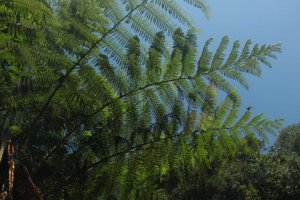 IMG_2017 (FILEminimizer)