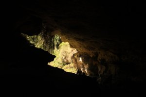 IMG_2030 (FILEminimizer)