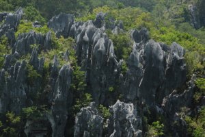 IMG_2056 (FILEminimizer)