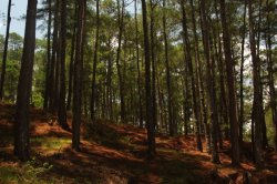 IMG_2064 (FILEminimizer)