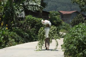 IMG_2104 (FILEminimizer)