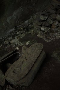 IMG_2113 (FILEminimizer)