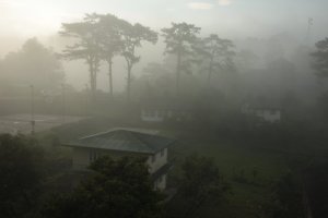 IMG_2140 (FILEminimizer)