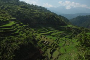 IMG_2165 (FILEminimizer)