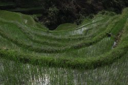 IMG_2171 (FILEminimizer)