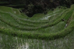 IMG_2171 (FILEminimizer)