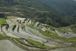 IMG_2203 (FILEminimizer)