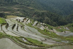 IMG_2203 (FILEminimizer)