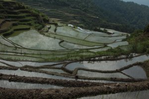 IMG_2213 (FILEminimizer)