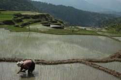 IMG_2222 (FILEminimizer)