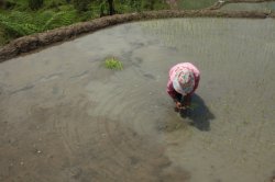 IMG_2233 (FILEminimizer)