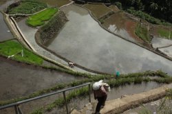 IMG_2237 (FILEminimizer)