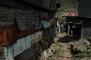 IMG_2241 (FILEminimizer)