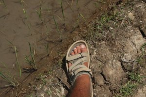 IMG_2261 (FILEminimizer)