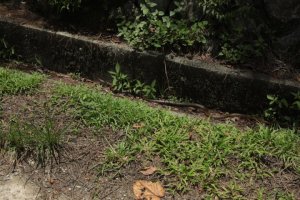 IMG_2283 (FILEminimizer)