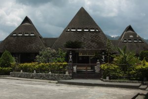 IMG_2296 (FILEminimizer)