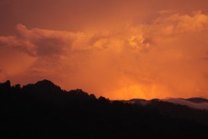 IMG_2315 (FILEminimizer)