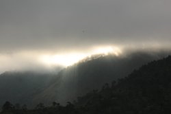 IMG_2324 (FILEminimizer)