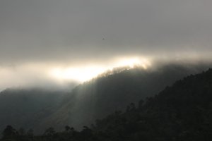 IMG_2324 (FILEminimizer)