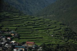 IMG_2336 (FILEminimizer)