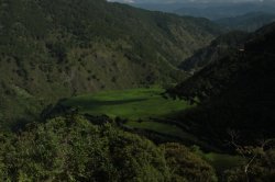 IMG_2338 (FILEminimizer)