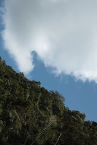 IMG_2389 (FILEminimizer)