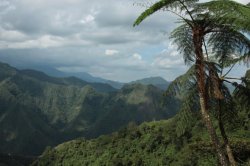 IMG_2390 (FILEminimizer)