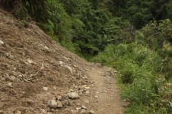 IMG_2392 (FILEminimizer)