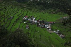 IMG_2412 (FILEminimizer)