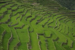 IMG_2414 (FILEminimizer)