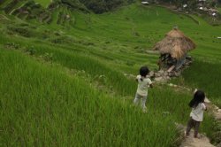 IMG_2424 (FILEminimizer)