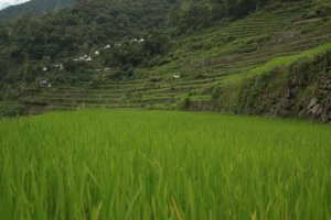 IMG_2431 (FILEminimizer)