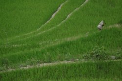 IMG_2476 (FILEminimizer)