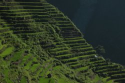 IMG_2544 (FILEminimizer)