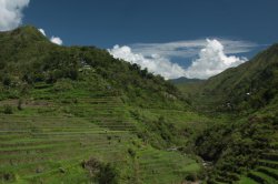 IMG_2580 (FILEminimizer)