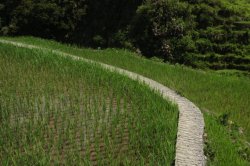 IMG_2583 (FILEminimizer)