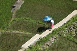 IMG_2586 (FILEminimizer)