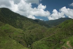 IMG_2594 (FILEminimizer)