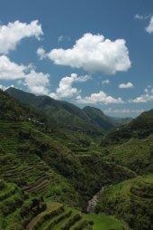 IMG_2602 (FILEminimizer)