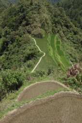 IMG_2608 (FILEminimizer)