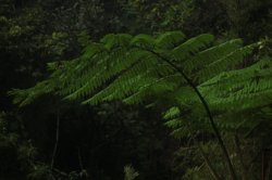 IMG_2669 (FILEminimizer)