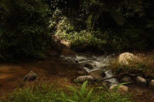 IMG_2674 (FILEminimizer)