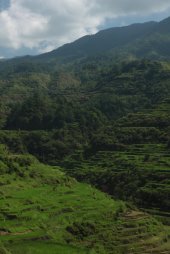 IMG_2683 (FILEminimizer)