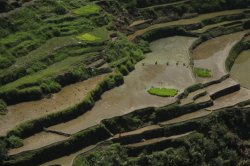 IMG_2687 (FILEminimizer)