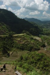 IMG_2700 (FILEminimizer)